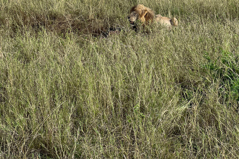 From Zanzibar: Private 4-Day Serengeti &amp; Ngorongoro Safari