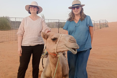 Salalah Desert Adventure, Camel Ride, Sand Boarding, Sunset