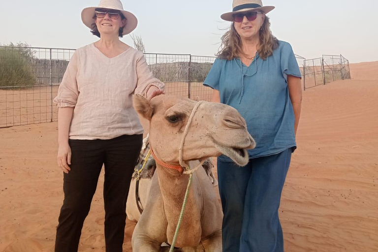 Salalah Desert Adventure, Camel Ride, Sand Boarding, Sunset