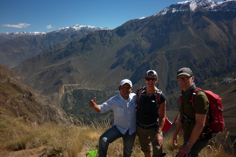 CANYON DEL COLCA CON GUIDA IN LINGUA INGLESE IN UN GIORNO DI TOUR