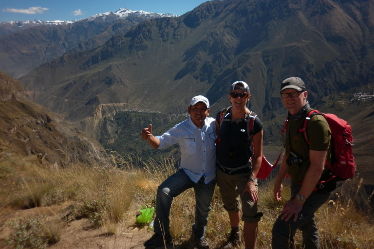 CANYON DEL COLCA CON GUIDA IN LINGUA INGLESE IN UN GIORNO DI TOUR