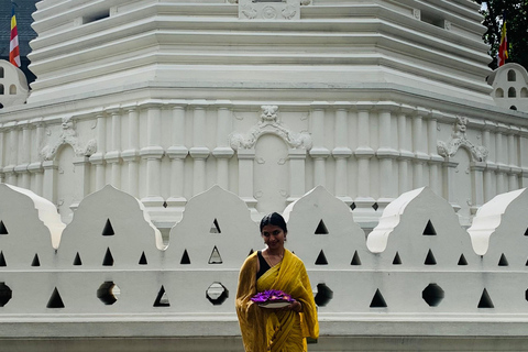 Circuit de 3 jours au Sri Lanka : Kandy Nuwara Eliya Ella &amp; Yala Safari