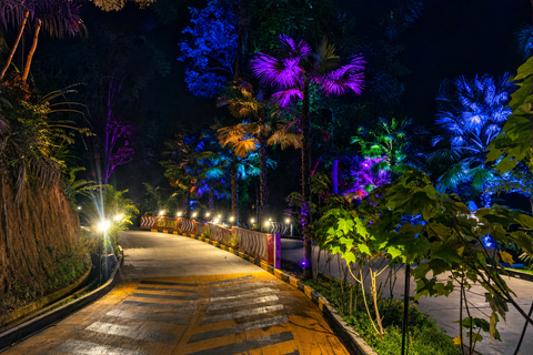 Phuket: Hanuman Luge Night Exclusive with Transfer or Dinner Luge 2 Rides + Dinner + Skywalk OR Luge Phone Head Mount