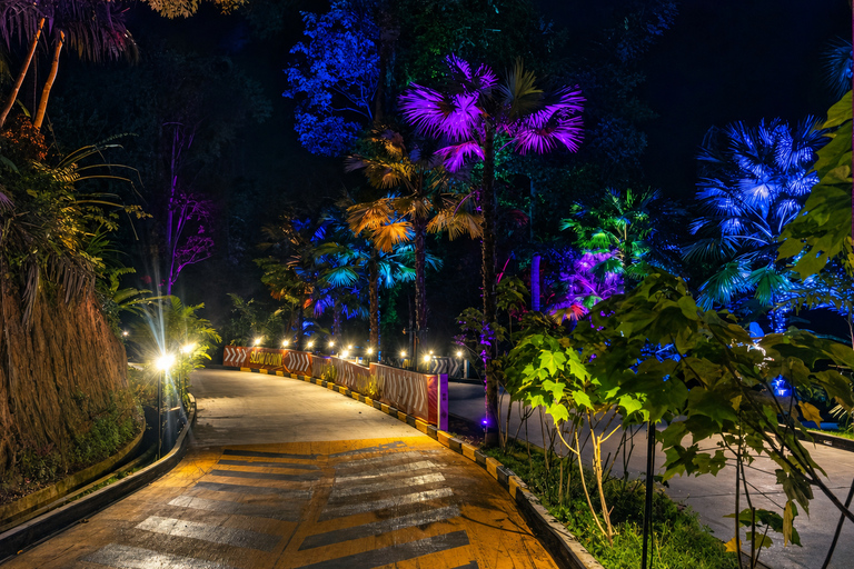 Phuket: Hanuman Luge Night Exclusive with Transfer or Dinner Luge 2 Rides + Dinner + Skywalk OR Luge Phone Head Mount