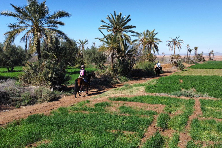 Horseback riding in Marrakesh – An authentic experience in the heart of nature Horseback ride in Marrakech – An authentic experience in the heart of nature