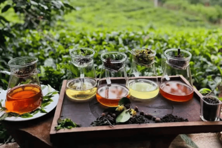 Ella: Tea-Making Experience, Tasting, Snacks with Tuk-Tuk