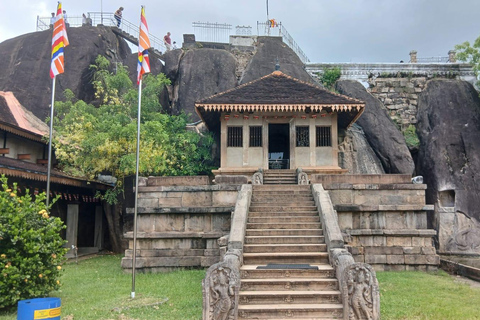 From Colombo/Negombo to Anuradhapura Day Tour with Mihintale