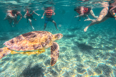 Cancun: Tulum Ruins, Akumal Turtles, Cenote & Caves Snorkel From Cancun