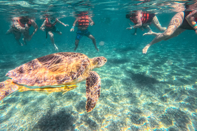 Cancun: Tulum Ruins, Akumal Turtles, Cenote & Caves Snorkel From Cancun