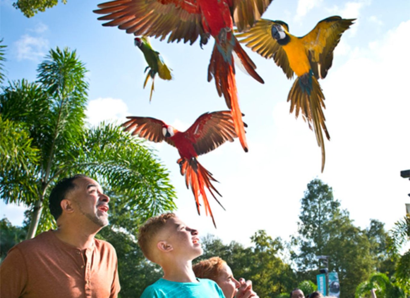 Tampa: Billet til ZooTampa i Lowry Park