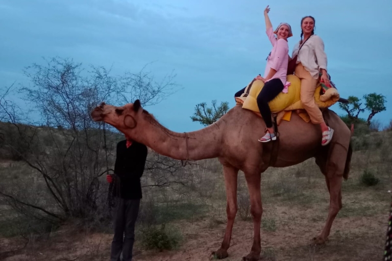Jodhpur Desert Camel Ride With Rajasthani Folk Dancing