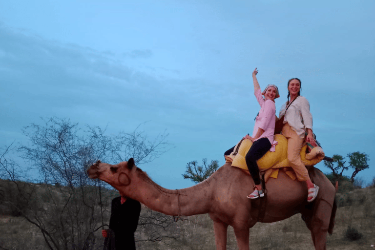 Jodhpur: Tocht op een woestijnkameel met Rajasthani volksdansen