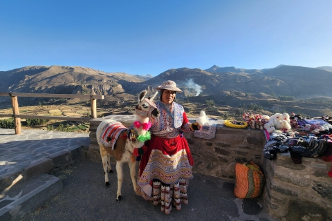 Arequipa: Excursión de día completo al Cañón del Colca