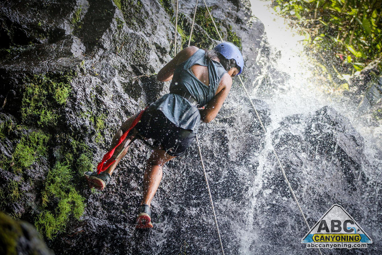 From La Fortuna: Canyoning & Rappelling Waterfalls in Arenal