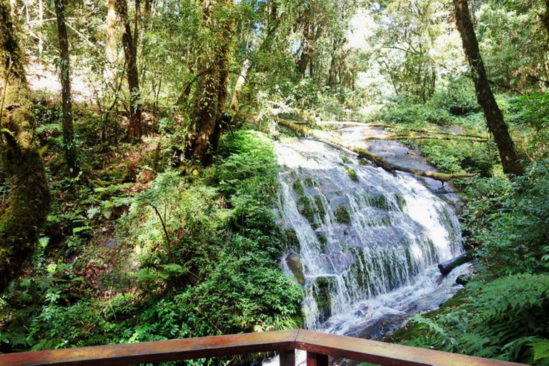 Parco nazionale di Doi Inthanon e sentiero naturalistico di Kew Mae Pan