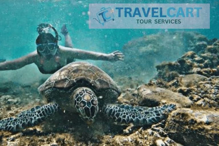 PORT BARTON : visite d&#039;une jounée dans les îles A