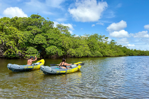 Fort Lauderdale: Kayak & Paddleboard Mangroves Eco Adventure