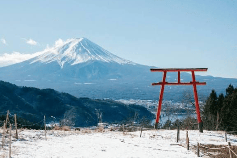 From Tokyo: Mount Fuji Full Day Customizable Private Tour