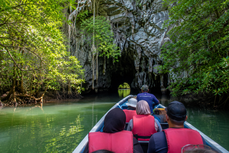 Langkawi: Mangrove Safari Group with Lunch