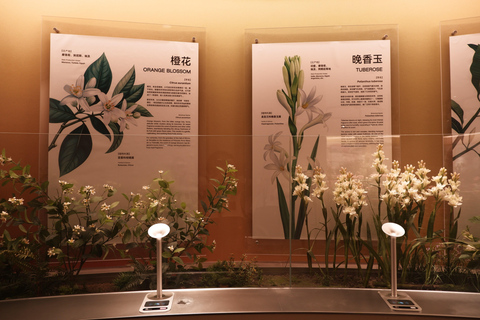 Guangzhou: Xuelei Fragrance Museum Entry & Transfer