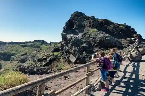Full Day Tour: Pompeii and Vesuvio with Bus Transfer
