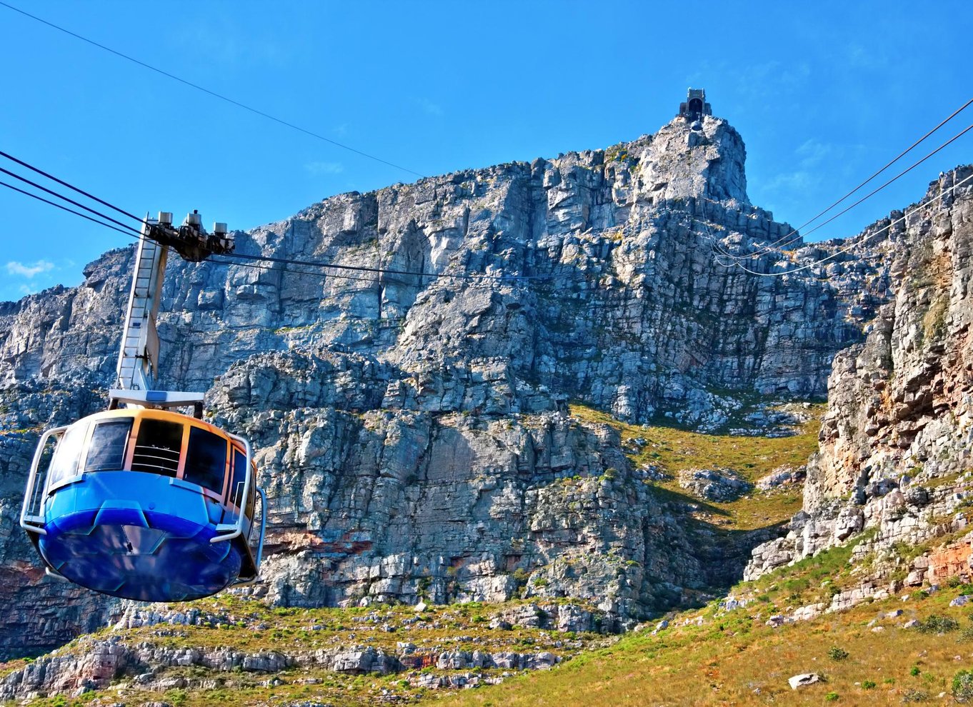 Kapstaden: Halvdagstur til Kap Det Gode Håb og pingvinkolonien