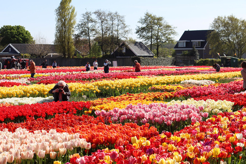 From Amsterdam: Keukenhof Gardens & Tulip Experience Tour Keukenhof Gardens Trip without Canal Tour Voucher