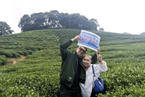 Hangzhou: West Lake Cruise, Lingyin Temple, & Tea Day Tour Hangzhou Tour of the City’s Top Sights - No Lunch