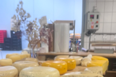 Rotterdam : Kinderdijk, site classé au patrimoine mondial de l&#039;UNESCO, expérience à la ferme fromagère