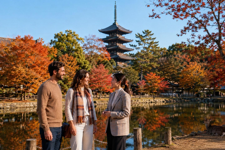 Nara: Autumn Colors, Deer & Historic Park Walk Early Bird 20% Off – Limited Autumn Offer