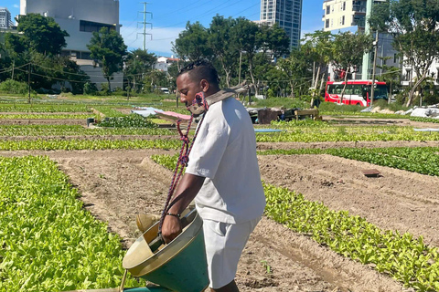 Da Nang: Vietnamese Cooking Class & Local Garden Tour