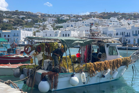 Mykonos Old Town: Secret Alleys, Photo Spots & Sunset Tour Private Tour: Vibrant Colors & Exclusive Sescret Path