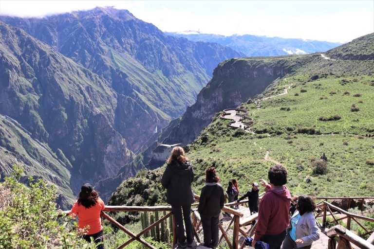 Von Arequipa: 3-tägige Wanderung zum Colca Canyon