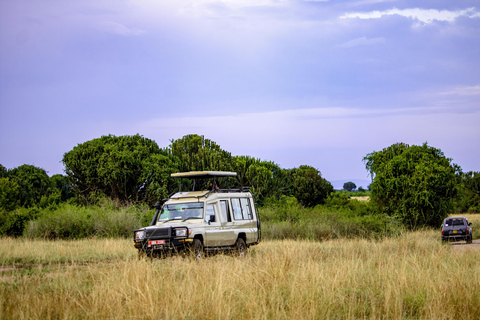 Experiencia culinaria en Uganda con vida salvaje en Queen Elizabeth