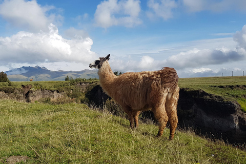From Quito: Cotopaxi and Baños Day Trip with Lunch