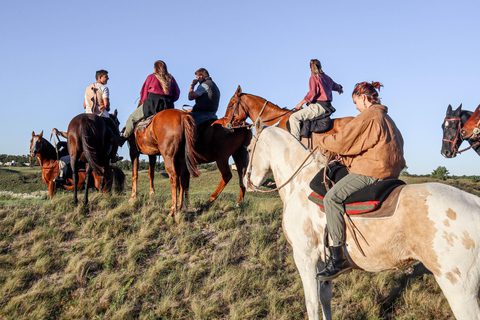 Michigan: Mackinaw State Forest Guided Horseback Ride 1.5-hour option
