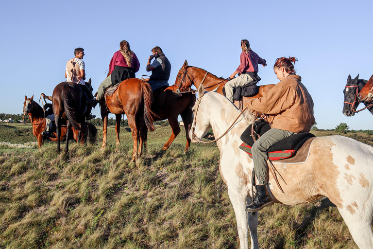 Michigan: Mackinaw State Forest Guided Horseback Ride 1.5-hour option