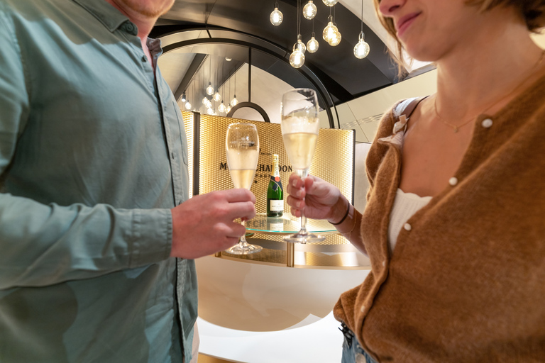 Ab Paris: Champagne-Tagestour mit 8 Verkostungen und MittagessenPrivate Tour