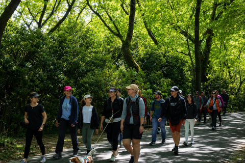 Hangzhou: Hike from Longjing Tea Village to Nine Creeks Group Tour