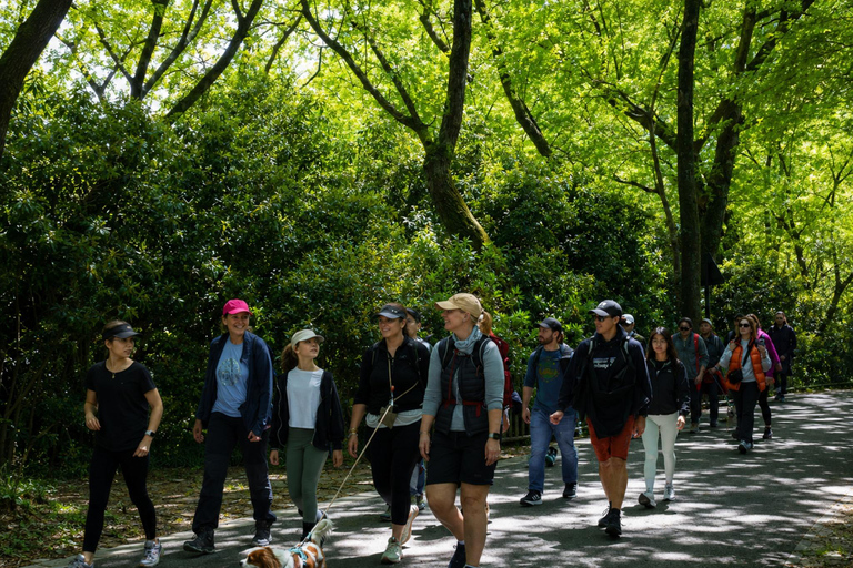 Hangzhou: Hike from Longjing Tea Village to Nine Creeks Group Tour