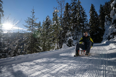 Interlaken: Guided Sledging Adventure Interlaken: Guided Sledging Adventure @ Mürren