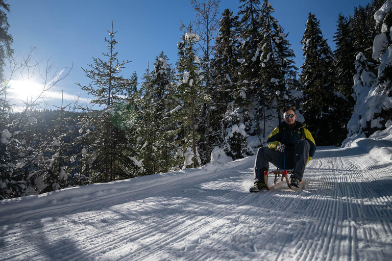 Interlaken: Guided Sledging Adventure Interlaken: Guided Sledging Adventure @ Mürren