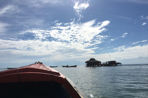 Floyd's Pelican Bar, Cataratas Ys y Excursión Safari por el Río NegroDesde Negril