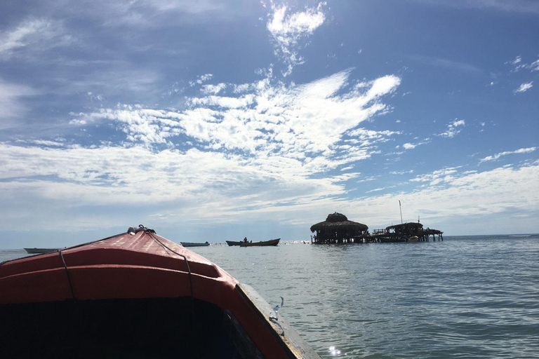 Floyd’s Pelican Bar, Ys Falls and Black River Safari Tour From Falmouth/ Trelawny