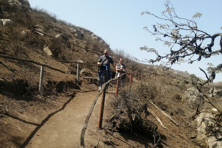 Wandelen in Lomas de Lachay in Lima