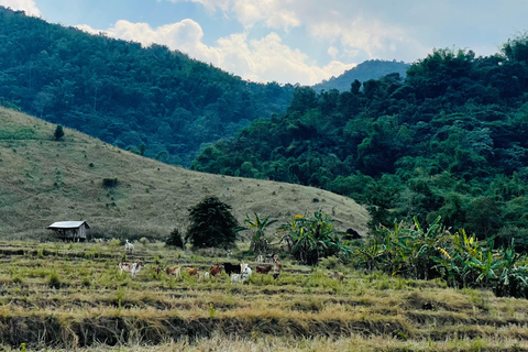 Chiang Rai: The Adventure of Trekking & Bamboo Cooking