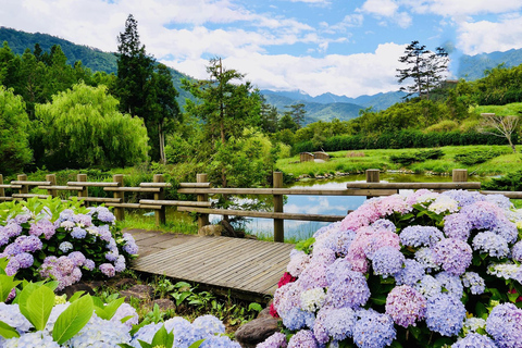 台中：望幽森林与山林溪一日游台中：王游森林与山林溪公园一日游