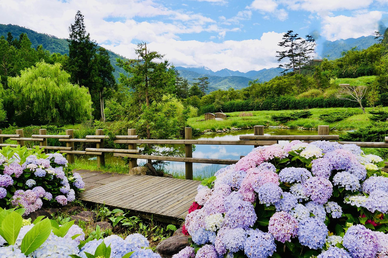 台中：望幽森林与山林溪一日游台中：王游森林与山林溪公园一日游
