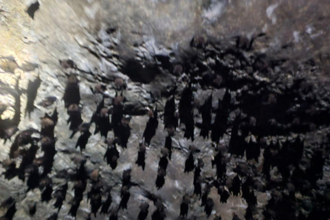 Langkawi: 3-Hour Shared Kilim Geoforest Mangrove Boat Tour