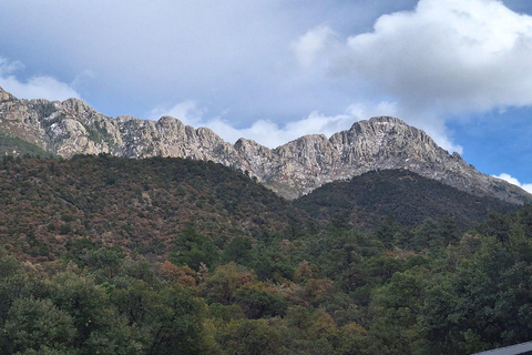 From Scottsdale: Madera Canyon Full-Day Nature Tour